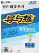 2020初中同步学习导与练导学探究案九年级化学下册人教版答案