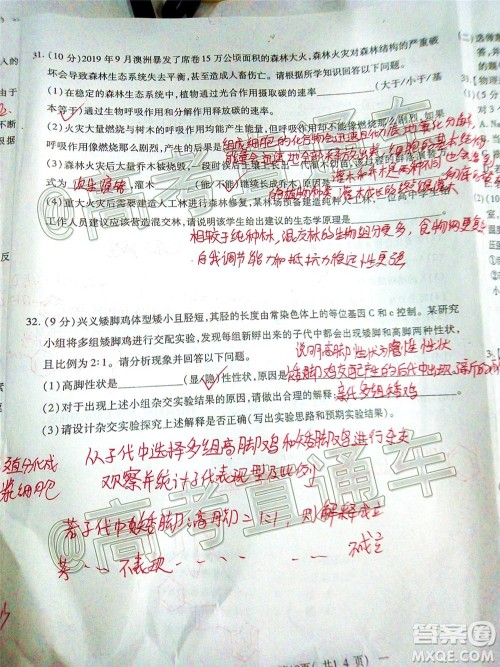 2020年南昌三模高三理科综合试题及答案 2020年南昌三模高三理科综合试题及答案