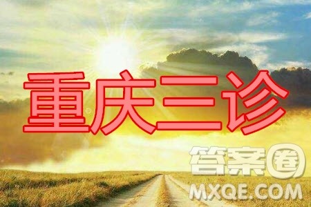 重庆三诊2020年重庆6月调研测试卷文科数学试题及答案 重庆三诊2020年重庆6月调研测试卷文科数学试题及答案