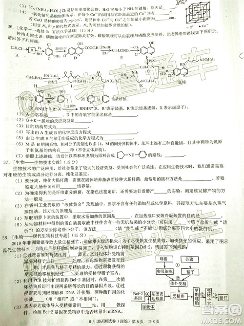 重庆三诊2020年重庆6月调研测试卷理科综合试题及答案 重庆三诊2020年重庆6月调研测试卷理科综合试题及答案