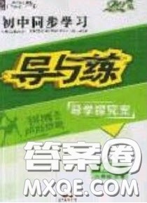 2020年初中同步学习导与练导学探案八年级数学下册沪科版答案