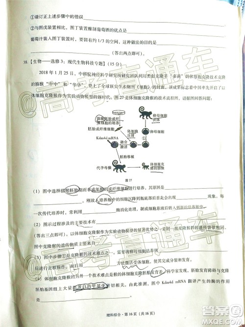 2020届3+3+3高考备考诊断性联考三考试理科综合试题及答案 2020届3+3+3高考备考诊断性联考三考试理科综合试题及答案