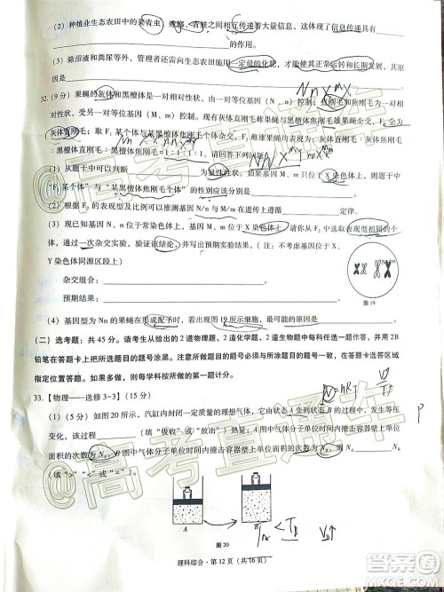 2020届3+3+3高考备考诊断性联考三考试理科综合试题及答案 2020届3+3+3高考备考诊断性联考三考试理科综合试题及答案