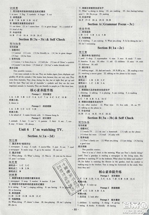 2020初中同步学习导与练导学探究案七年级英语下册人教版答案