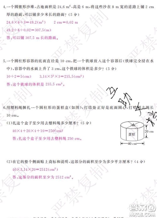 2020春阳光试卷单元测试卷六年级数学下册人教版答案