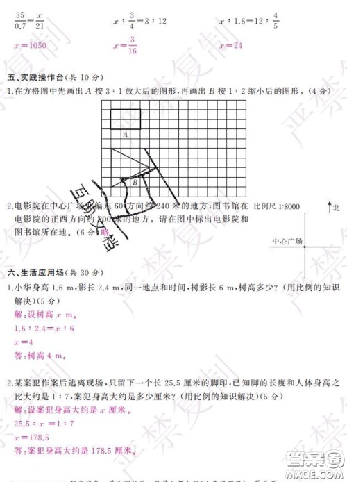 2020春阳光试卷单元测试卷六年级数学下册北师版答案 2020春阳光试卷单元测试卷六年级数学下册北师版答案