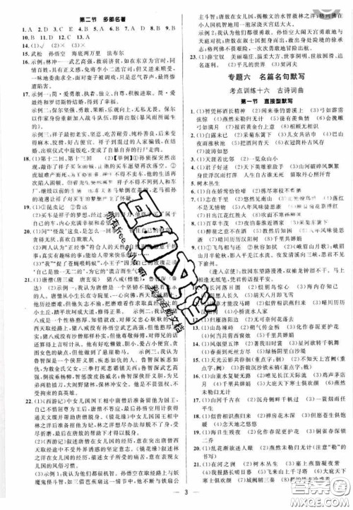 阳光出版社2020正大图书中考真题分类卷初中语文全一册答案