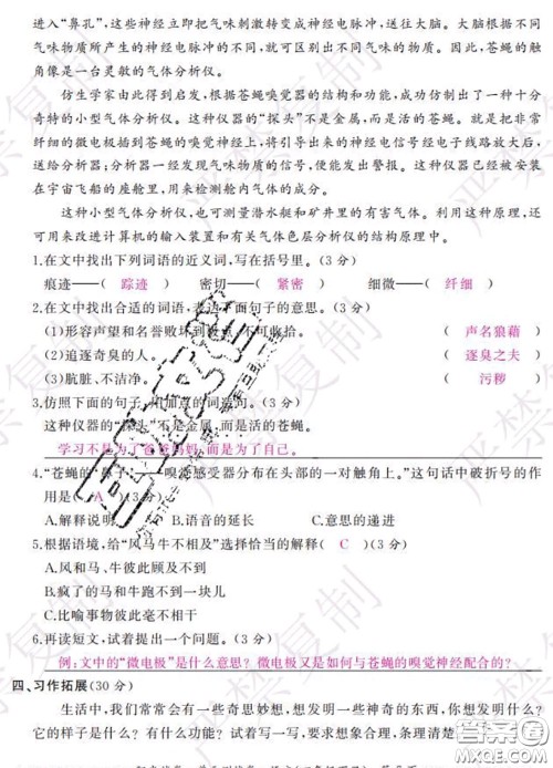 2020春阳光试卷单元测试卷四年级语文下册人教版答案 2020春阳光试卷单元测试卷四年级语文下册人教版答案
