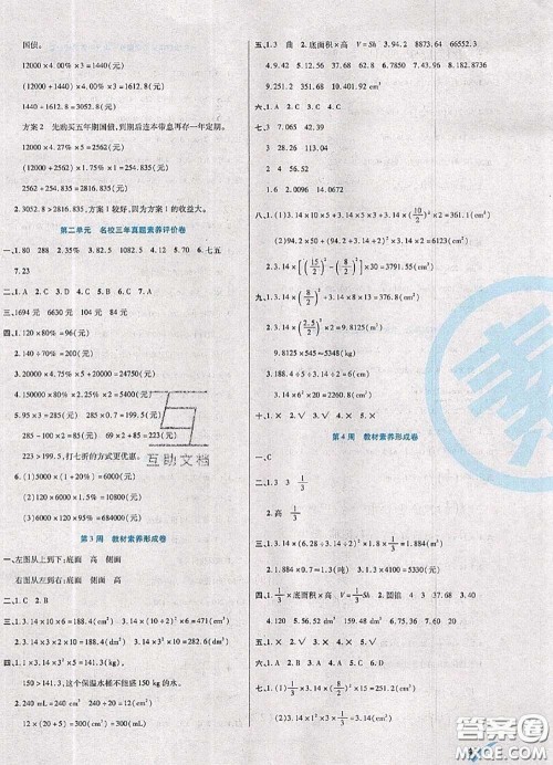 2020新版做对题核心素养卷六年级数学下册人教版答案