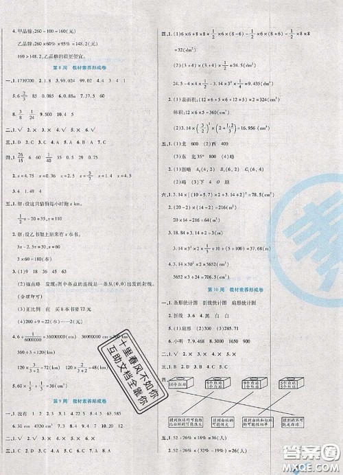 2020新版做对题核心素养卷六年级数学下册人教版答案