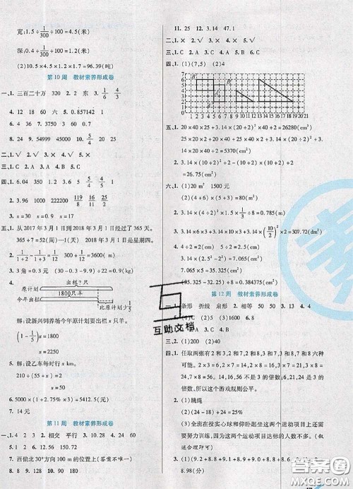 2020新版做对题核心素养卷六年级数学下册北师版答案