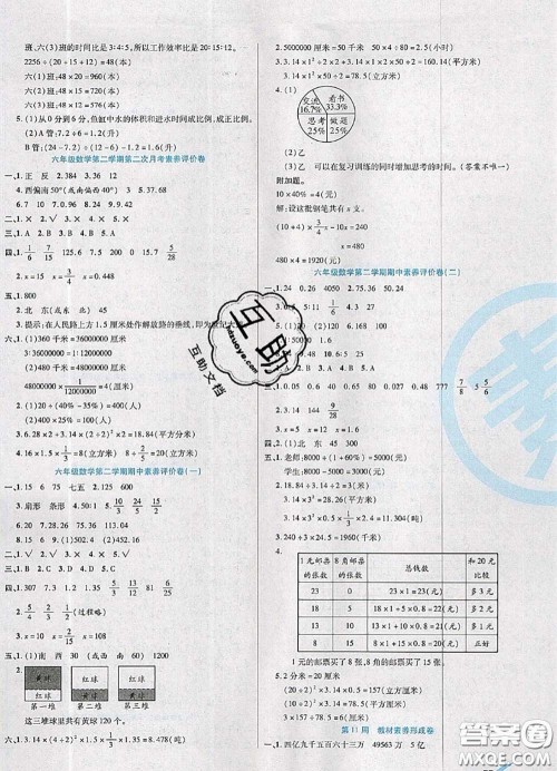 2020新版做对题核心素养卷六年级数学下册苏教版答案