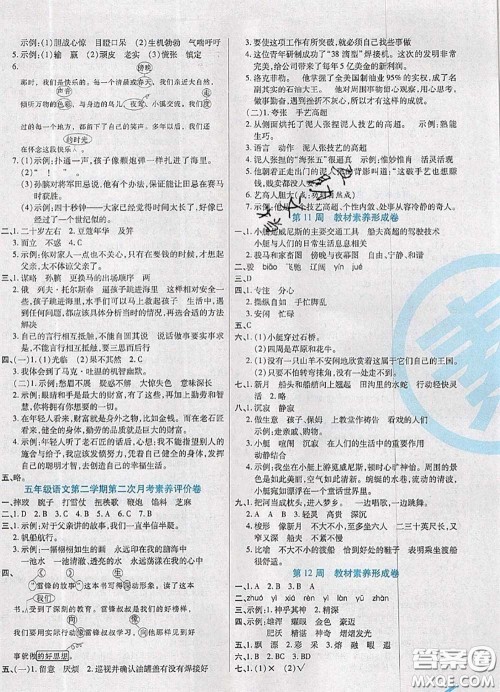 2020新版做对题核心素养卷五年级语文下册人教版答案