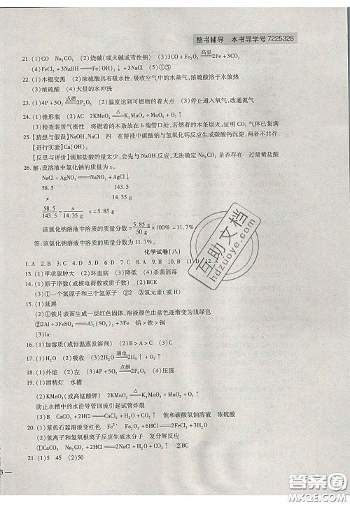 2020年中考全程复习仿真模拟试卷化学人教版答案