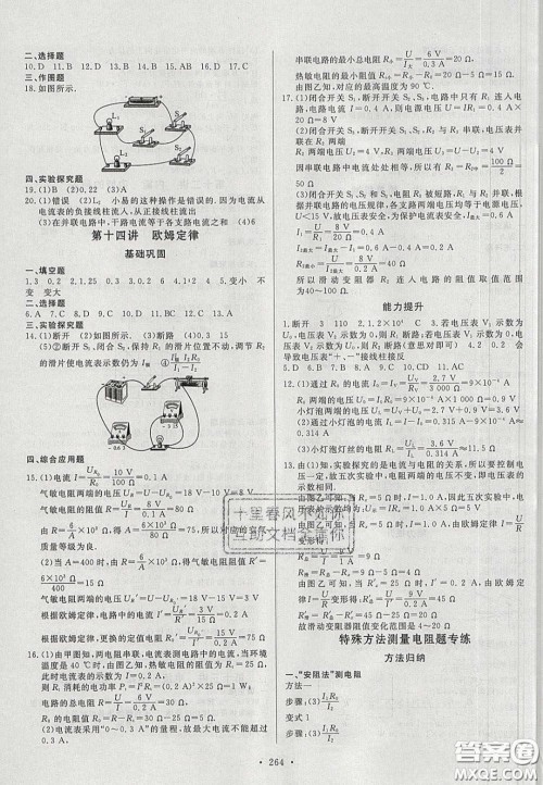 2020年河南中考风向标初中总复习物理答案