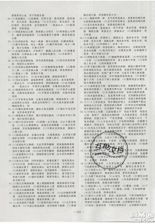 2020年河南中考风向标初中总复习语文答案