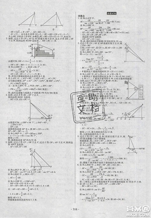 2020年河南中考风向标初中总复习数学答案