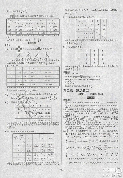 2020年河南中考风向标初中总复习数学答案