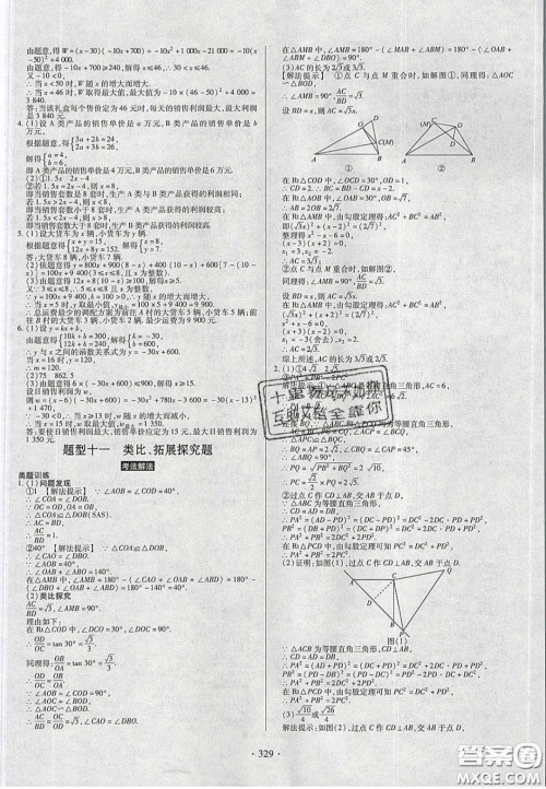 2020年河南中考风向标初中总复习数学答案