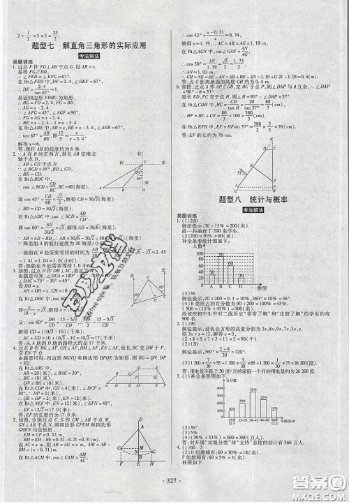 2020年河南中考风向标初中总复习数学答案