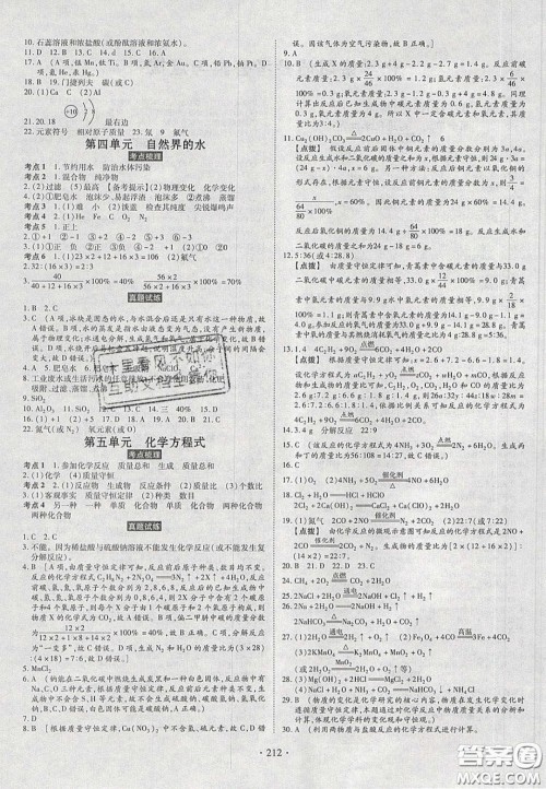 2020年河南中考风向标初中总复习化学答案