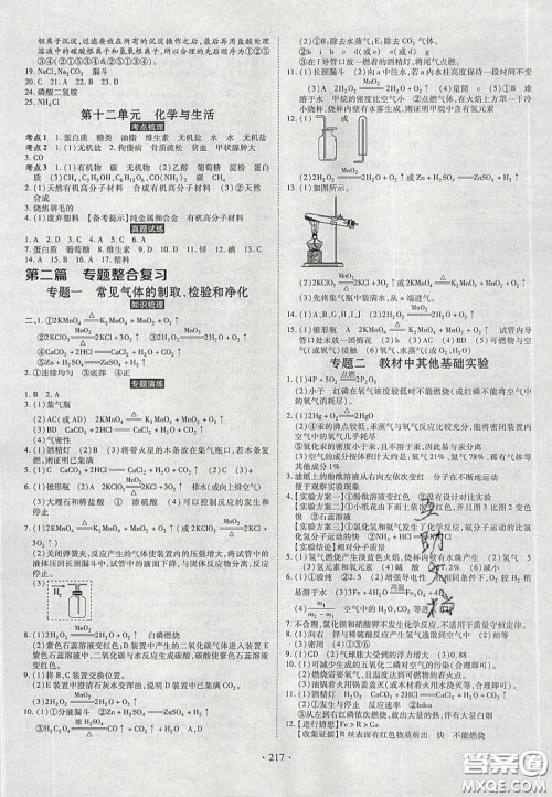 2020年河南中考风向标初中总复习化学答案