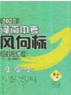 2020年河南中考风向标初中总复习化学答案