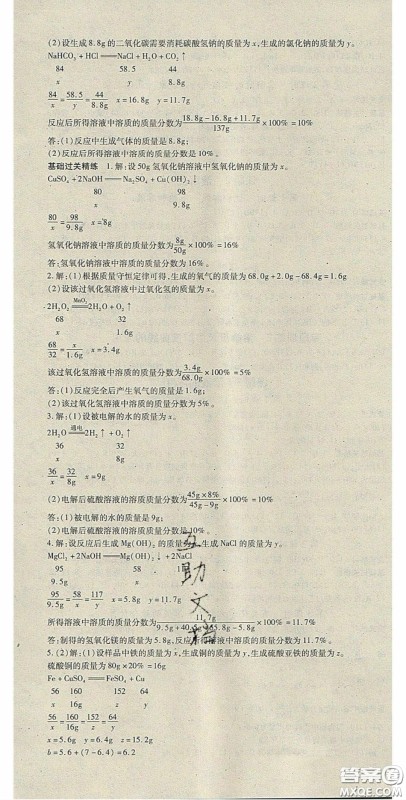 吉林教育出版社2020启航新课堂九年级化学下册人教版答案