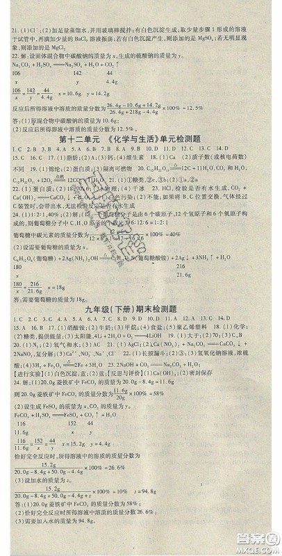 吉林教育出版社2020启航新课堂九年级化学下册人教版答案