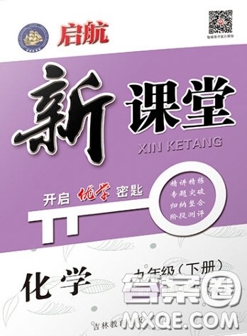 吉林教育出版社2020启航新课堂九年级化学下册人教版答案