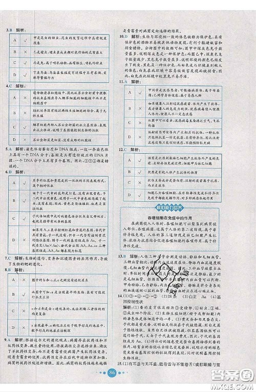 2020春课时练核心素养卷初中同步达标测试卷八年级生物下册答案 2020春课时练核心素养卷初中同步达标测试卷八年级生物下册答案