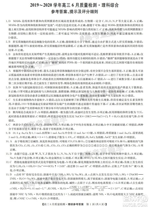 九师联盟2019-2020学年高三6月质量检测理科综合试题及答案 九师联盟2019-2020学年高三6月质量检测理科综合试题及答案