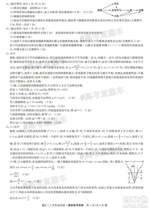 九师联盟2019-2020学年高三6月质量检测理科综合试题及答案 九师联盟2019-2020学年高三6月质量检测理科综合试题及答案