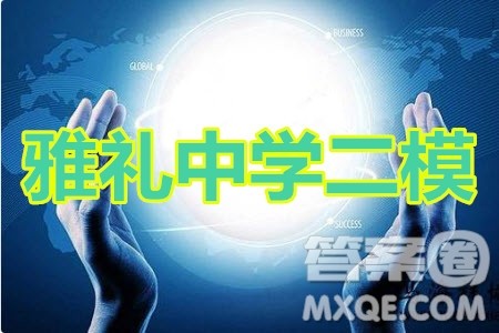 炎德英才大联考雅礼中学2020届高考模拟卷二文科数学试题及答案