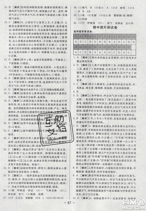 2020年期末考向标海淀新编跟踪突破测试七年级生物下册人教版答案 2020年期末考向标海淀新编跟踪突破测试七年级生物下册人教版答案