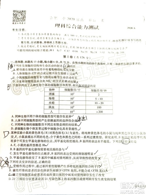 合肥一中2020届高三最后一卷理科综合试题及答案