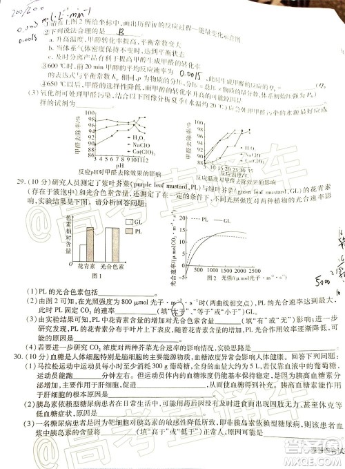 合肥一中2020届高三最后一卷理科综合试题及答案