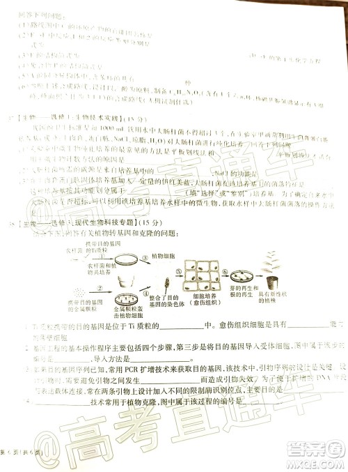 合肥一中2020届高三最后一卷理科综合试题及答案