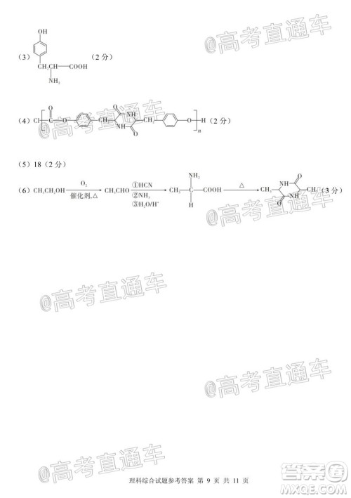 合肥一中2020届高三最后一卷理科综合试题及答案