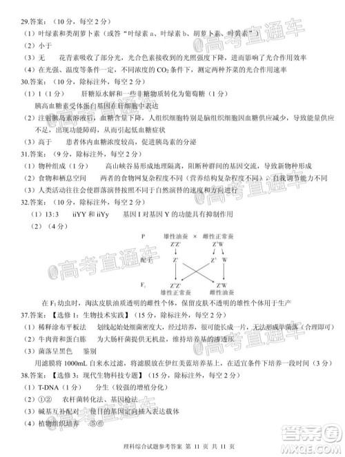 合肥一中2020届高三最后一卷理科综合试题及答案