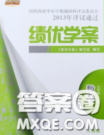 陕西师范大学出版社2020春绩优学案七年级数学下册人教版答案