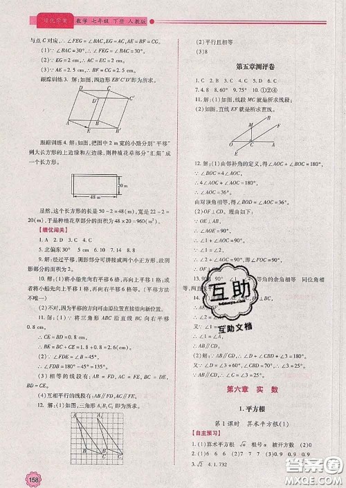 陕西师范大学出版社2020春绩优学案七年级数学下册人教版答案