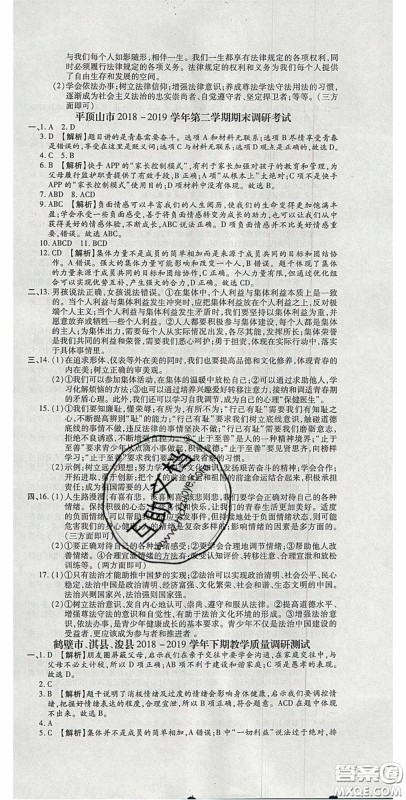 2020年追梦之旅初中期末真题篇七年级道德与法治下册人教版河南专版答案 2020年追梦之旅初中期末真题篇七年级道德与法治下册人教版河南专版答案