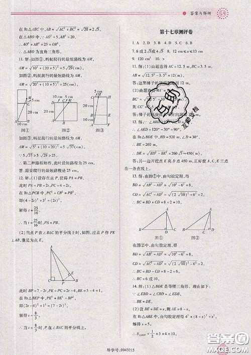 陕西师范大学出版社2020春绩优学案八年级数学下册人教版答案