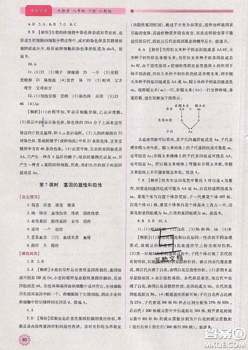 陕西师范大学出版社2020春绩优学案八年级生物下册人教版答案 陕西师范大学出版社2020春绩优学案八年级生物下册人教版答案