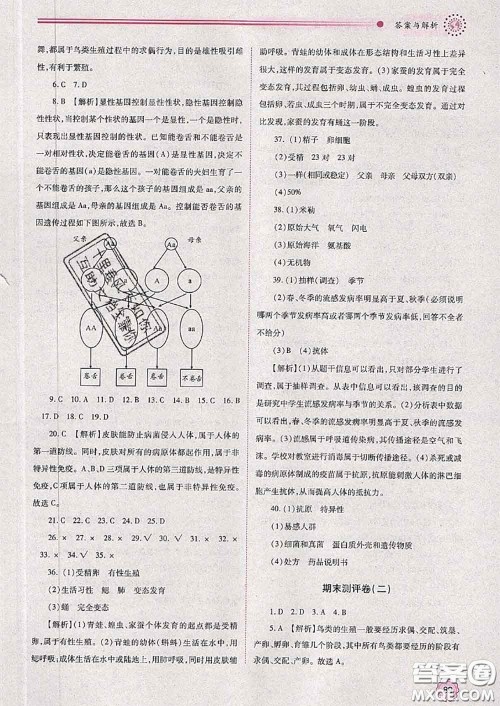 陕西师范大学出版社2020春绩优学案八年级生物下册人教版答案 陕西师范大学出版社2020春绩优学案八年级生物下册人教版答案
