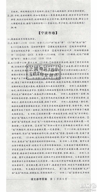 2020年中考必备2019中考利剑浙江省中考试卷汇编语文答案