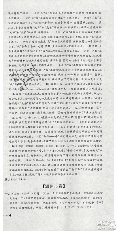 2020年中考必备2019中考利剑浙江省中考试卷汇编语文答案