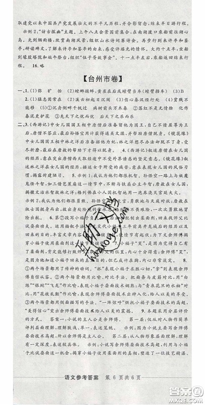 2020年中考必备2019中考利剑浙江省中考试卷汇编语文答案