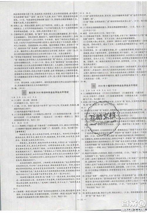 2020年中考必备湖北省中考试题精编语文答案